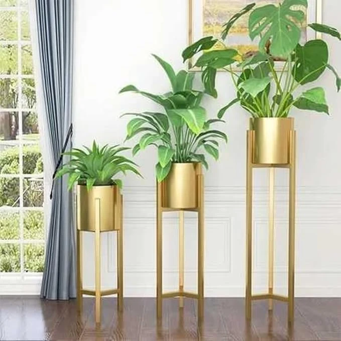 Handcrafted Brass Plant Stands with Wood Legs - Premium Home Du00e9cor Set of 3
